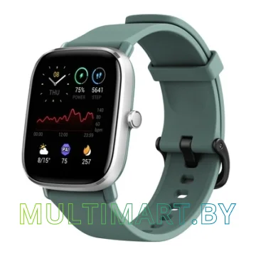 Смарт-часы Amazfit GTS 2 mini (зеленый шалфей)